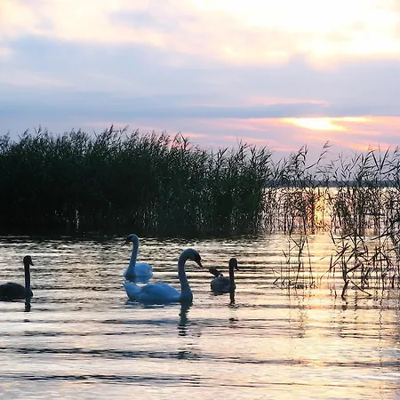 Boeker Muehle Hébergement de vacances