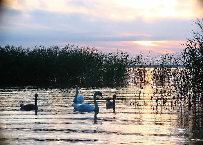 Boeker Mühle Ferienhaus